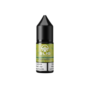 5LIQ - Icy Kaktus Nikotinsalz Liquid 20 mg/ml